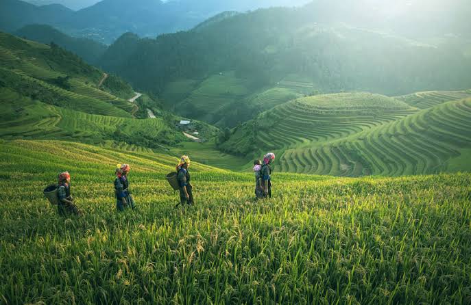 KPA Desak Presiden dan DPR Prioritaskan Pengesahan RUU Reforma Agraria