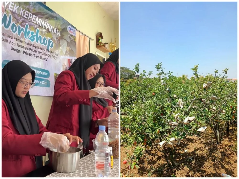Usung Konsep Zero  Waste, Mahasiswa PPG UMM Sulap  Apel Anna Jadi  Selai dan Pupuk Organik Cair di Desa Sumbergondo