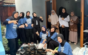 Bibit sayuran